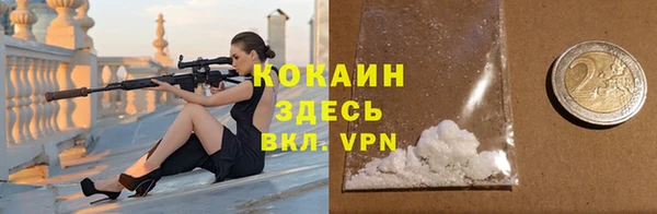 бошки Ладушкин
