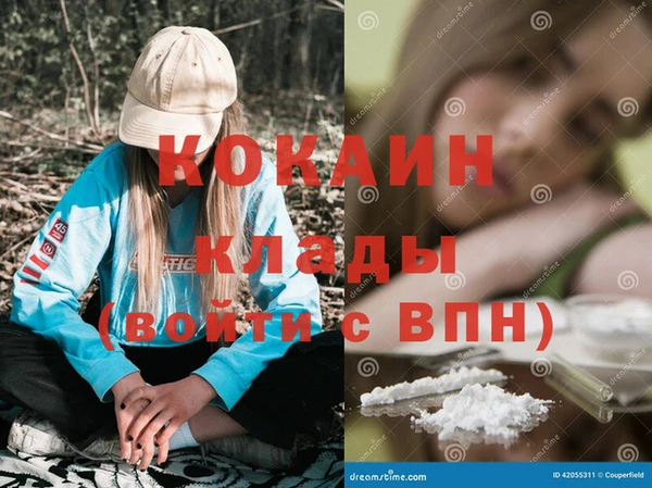 бошки Ладушкин